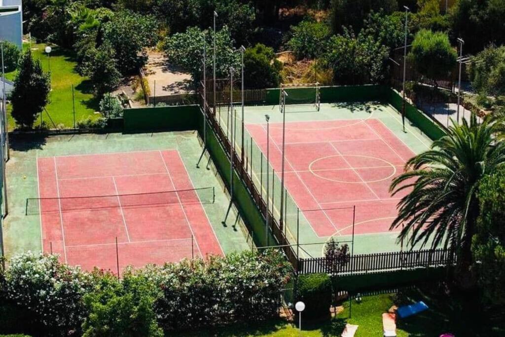 Verano Eterno En Mallorca - Alcudia! Eksteriør bilde